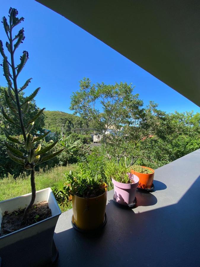 Casa De Hospede Dunas Do Siriu Garopaba Eksteriør bilde